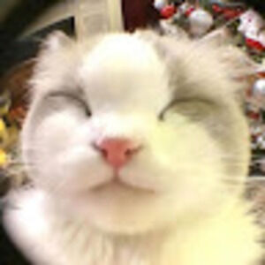 Meet your Posher, Isssumi